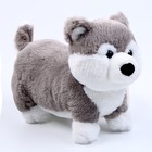 Мягкая игрушка «Хаски», размер 28 см, цвет серый - фото 108754115