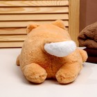 Мягкая игрушка «Корги-стесняшка», размер 35 см, цвет рыжий - фото 22081895