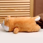 Мягкая игрушка «Корги-стесняшка», размер 35 см, цвет рыжий - фото 22081896