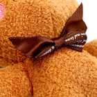 Мягкая игрушка «Медведь с бантиком», на брелоке, размер 14 см, цвет коричневый - Фото 3