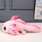 Мягкая игрушка «Аксолотль», 35 см, цвет розовый - Фото 4