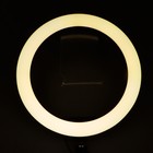 Светодиодная кольцевая лампа RJ33, лампа 32 см, цветная подсветка, 10 Вт - Фото 14