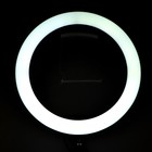 Светодиодная кольцевая лампа RJ33, лампа 32 см, цветная подсветка, 10 Вт - Фото 15