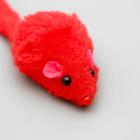 Игрушка для кошек "Мышь малая" цветная, 5 см, микс цветов - Фото 4