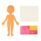 Набор для опытов «Моё тело», в пакете - фото 24478223