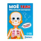 Набор для опытов «Моё тело», в пакете - фото 24478225