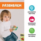 Развивающий набор «Большой дом», тактильные карточки, в пакете - фото 24290194