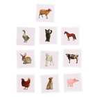 Полезный набор «Домашние животные», в пакете - фото 27189389