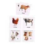 Полезный набор «Домашние животные», в пакете - фото 27189390