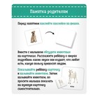 Полезный набор «Домашние животные», в пакете - фото 27189391