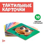 Развивающий набор «Животные леса», тактильные карточки, в пакете 9540231 - фото 11863468