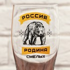 Пивной набор «Россия»: два пивных бокала 500 мл, миска, доска - фото 24456174