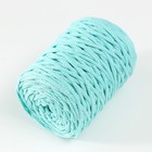 Шнур для вязания без сердечника 70% хлопок, 30% полиэстер ширина 3мм 100м/160±10гр (119) - фото 7513177