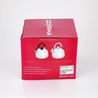 Чайник Доляна «Мрамор», 3 л, со свистком, нержавеющая сталь, хромированный - Фото 11