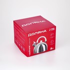 Чайник Доляна «Мрамор», 3 л, со свистком, нержавеющая сталь, хромированный - Фото 9