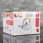 Чайник со свистком «Классика», 2 л - Фото 9