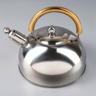 Чайник со свистком «Роскошь», 1,9 л - Фото 1