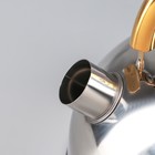 Чайник со свистком «Роскошь», 1,9 л - Фото 2