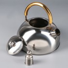 Чайник со свистком «Роскошь», 1,9 л - Фото 3