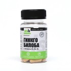 Гинкго Билоба Ангио + витамины В1, В2, В6, 60 капсул по 500 мг - фото 319334477