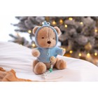 Подарочный набор: мягкая игрушка «Медвежонок» + держатель для пустышки, голубой - Фото 10