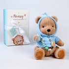 Подарочный набор: мягкая игрушка «Медвежонок» + держатель для пустышки, голубой - Фото 3