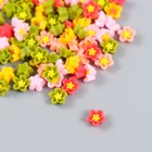 Декор для творчества пластик "Астры цветные" набор 100 шт МИКС 0,6х0,6 см - Фото 2