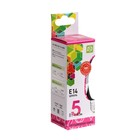 Лампа светодиодная ASD LED-СВЕЧА-standard, Е14, 5 Вт, 230 В, 6500 К, 450 Лм 9527836 - фото 319885301