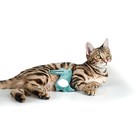 Игрушка для кошек с кошачьей мятой "Крокодил", 10 см, зелёная - Фото 4