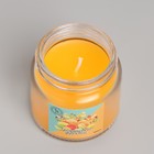 Свеча  ароматическая в стекле 6,3см, 100мл, тропические фрукты - фото 6845652