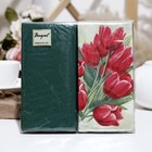 Салфетки бумажные Bouquet de Luxe "Тюльпаны на зеленом"с зеленым, 2 слоя,33x33, 20 листов - Фото 1