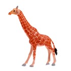 УЦЕНКА Набор животных «Зоопарк», с ковром 9569653