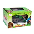 УЦЕНКА Набор животных «Зоопарк», с ковром 9569653