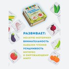 Картинки половинки «Овощи» 9524623 - фото 16756656