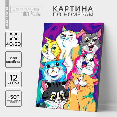 Картина по номерам на холсте «Яркие котики», 40 × 50 см