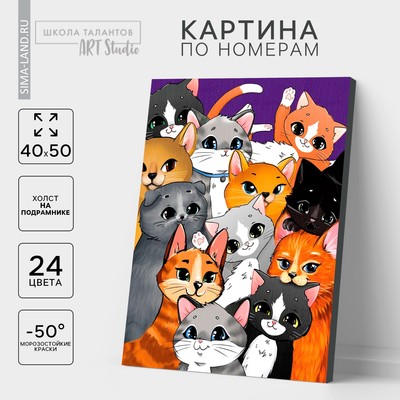 Картина по номерам на холсте с подрамником «Множество котиков», 40 х 50 см