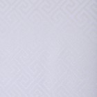 Наволочка-наперник на молнии "Греческий орнамент", 50х70 см, 70% полиэстер, 30% хлопок - Фото 2