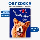 Обложка на ветеринарный паспорт «Рыжий пёсик» - фото 10344846