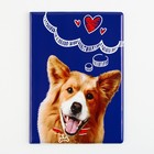 Обложка на ветеринарный паспорт «Рыжий пёсик» - фото 6847629