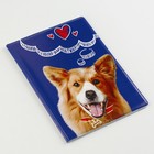 Обложка на ветеринарный паспорт «Рыжий пёсик» - фото 6847630