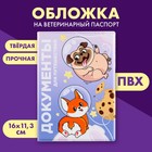 Обложка на ветеринарный паспорт «Документы для путешествий», ПВХ - фото 10344854