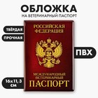 Обложка на ветеринарный паспорт «Как у хозяина», ПВХ - фото 10344866