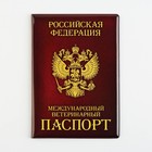Обложка на ветеринарный паспорт «Как у хозяина», ПВХ - фото 6847649