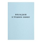 Вкладыш в трудовую книжку без голограммы - Фото 1