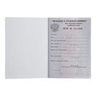 Вкладыш в трудовую книжку без голограммы - Фото 5