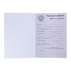 Бланк «Трудовая книжка» без голограммы - Фото 2