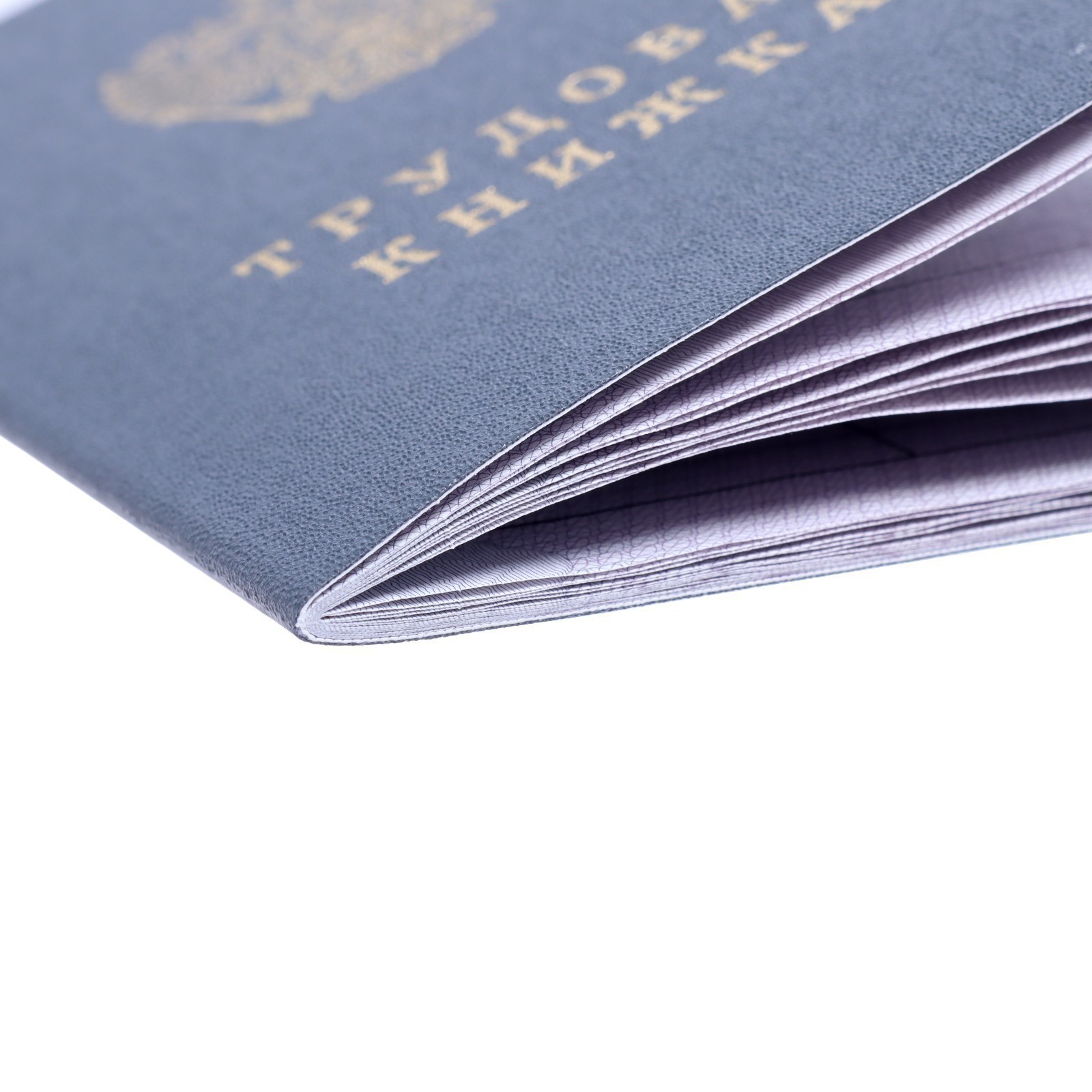 Роструд зафиксировал резкий скачок плановых увольнений