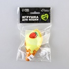 Игрушка для кошек с мятой «Мороженое» из текстиля, 9×5.1 см - Фото 6