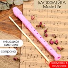 Блокфлейта Music Life, розовая, немецкая система, сопрано, 30 см - фото 10348297