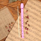 Блокфлейта Music Life, розовая, немецкая система, сопрано, 30 см - Фото 2